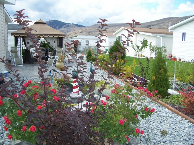 Backyard-Another view