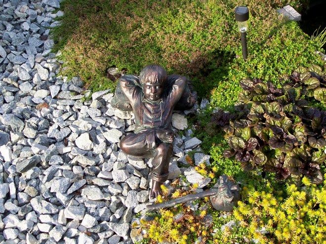 Benjamin memorial 1 in my garden