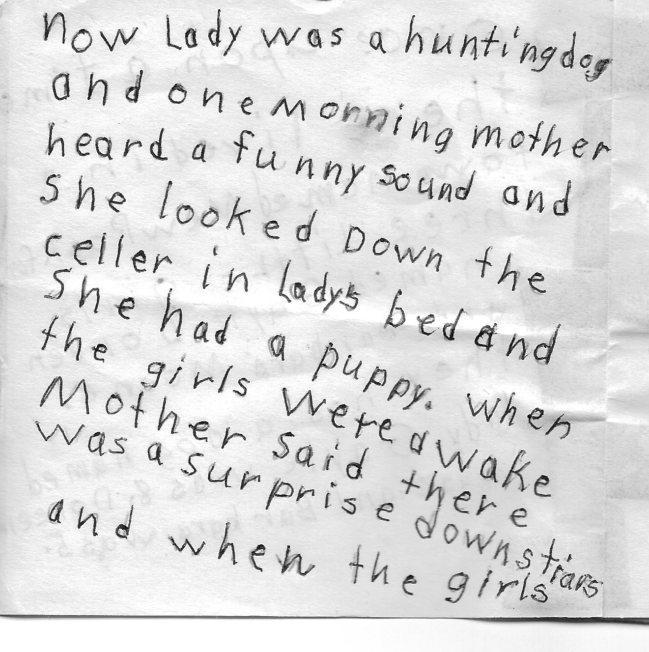 The New Puppy Page 2 1